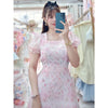 Belle Swiss Dot Dress (Blush)